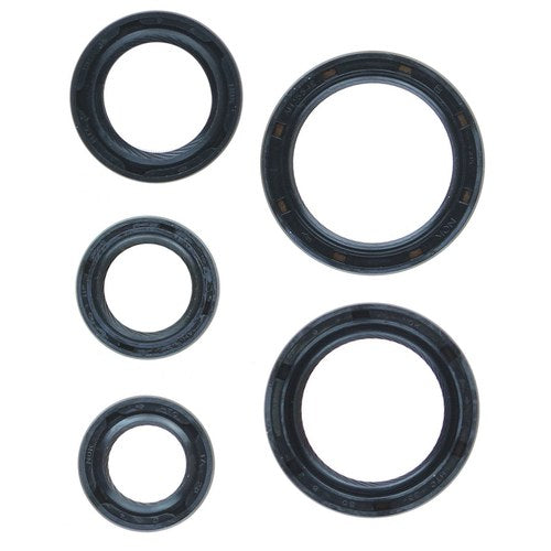 Permaseal Timing Belt Seal Kit for Mitsubishi Tredia 4G62 | SK002