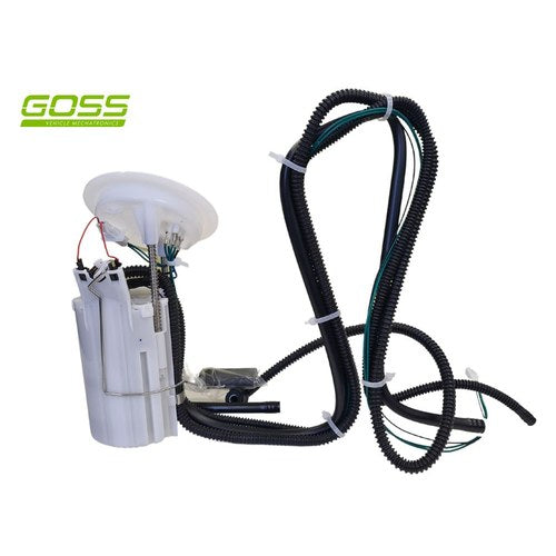Goss Fuel Pump for BMW 5 and BMW 6 | GE352