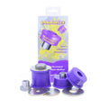 Powerflex Rear Diff Rear Mounting Bush for Legacy | PFR69-516