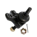 Febest Auto Parts Front Lower Arm Ball Joint | 0120-405