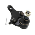 Febest Front Lower Arm Ball Joint | 0120-ACA30