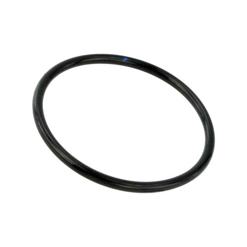 Febest Auto Parts Throttle Body O Ring – Nissan | RINGAH-010