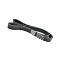 Febest Auto Parts Poly V Belt 6 Ribs – Audi A2 / Citroen | 88128-6L995